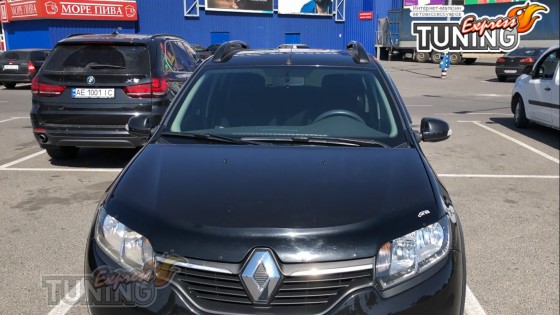 Мухобойка Renault Sandero 2